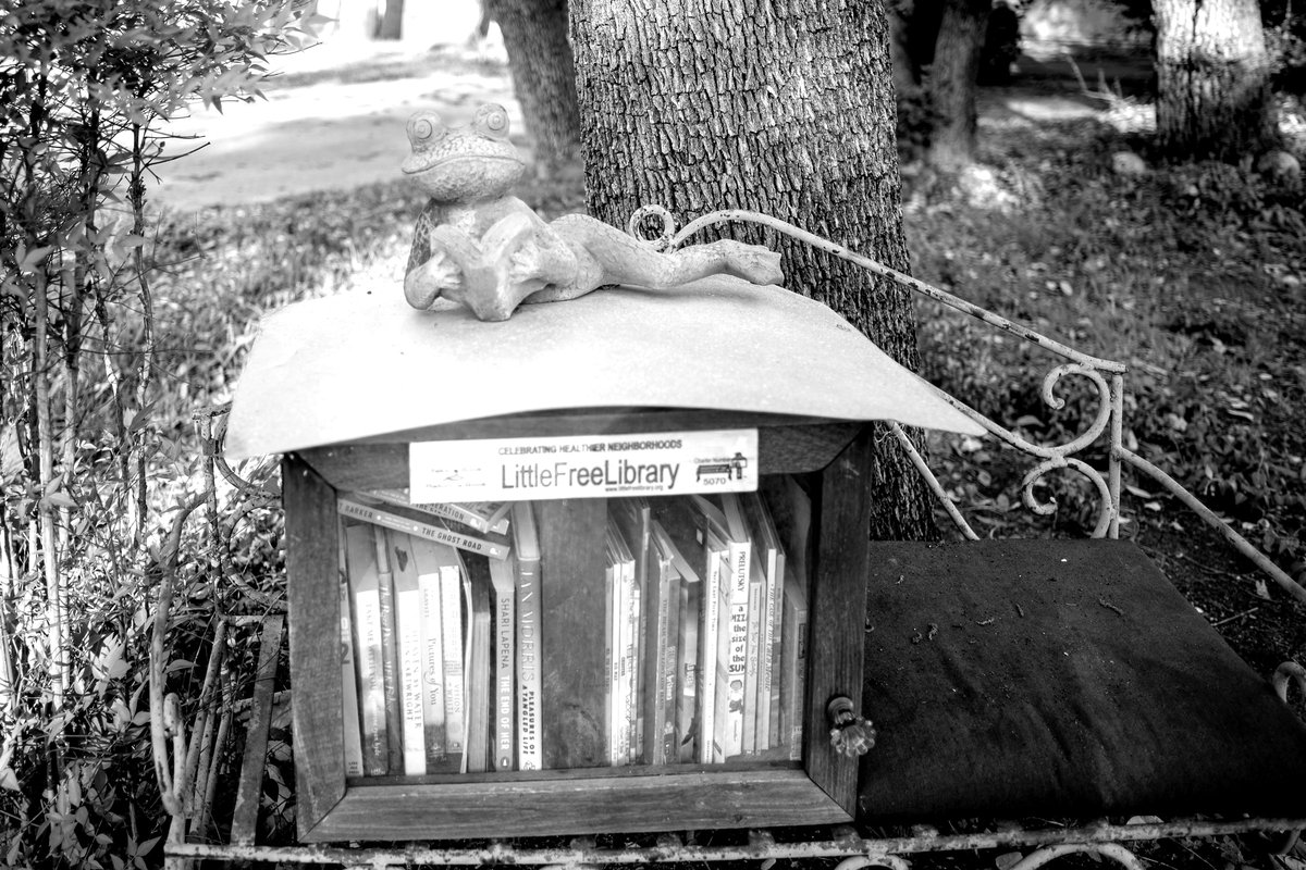 A black-and-white photograph of a Little Free Library box on an Austin neighborhood corner, with a small ceramic frog perched on top.