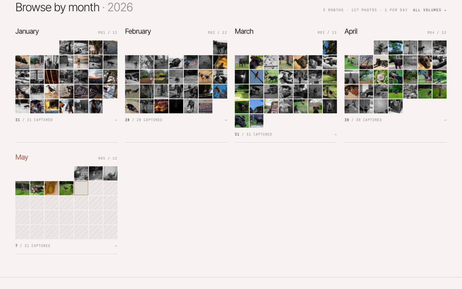 A screenshot from justmenotai.com showing a dense calendar grid of daily photographs across January through May.